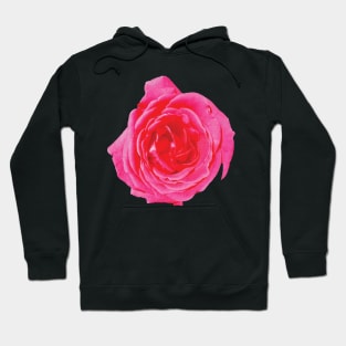 Beautiful big red rose Hoodie